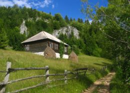 Trekking in the Apuseni Mountains in Romania