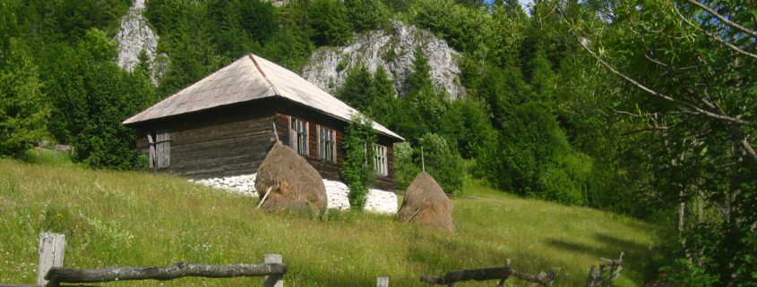 Trekking in the Apuseni Mountains in Romania