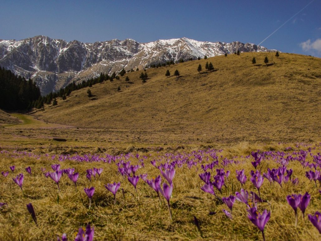 Piatra Craiului Natural Park Romania - hiking trails for all experience levels