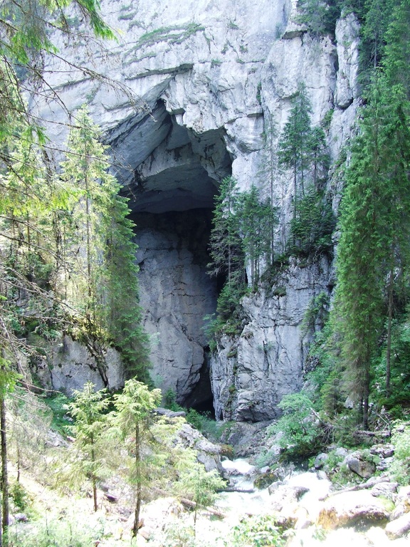 Cetațile Ponorului in the Apuseni Mountains