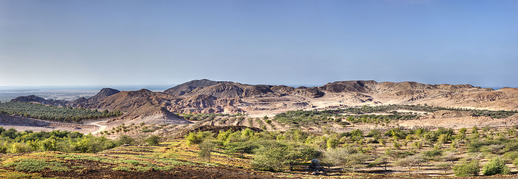 Panoramic view of Sir Bani Yas Island