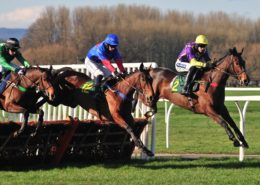 Horses jump over a hurdle