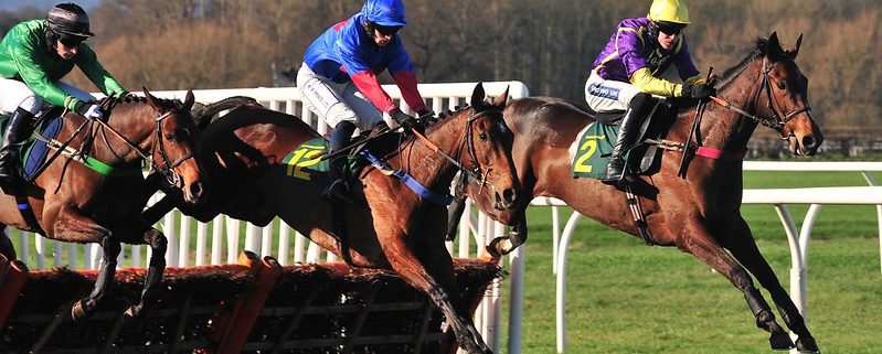 Horses jump over a hurdle