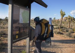 How To Stay Safe In Wilderness While Hiking Solo