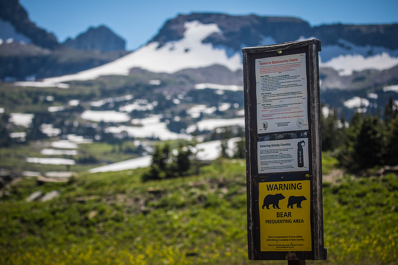 Be sure to take safety precautions when hiking solo in the wilderness