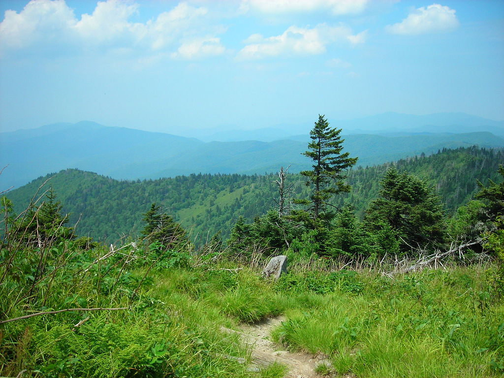 Appalachian Trail Heading to Double Springs Gap from Clingmans Dome