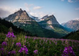 Glacier National Park