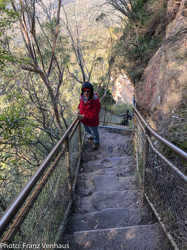 Giants Staircase Walk, one of the best hikes with a view in the Blue Mountains near Sydney