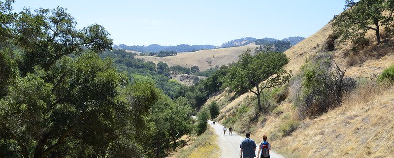 One of many dog-friendly hikes in the Sunol Regional Wilderness