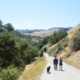 One of many dog-friendly hikes in the Sunol Regional Wilderness