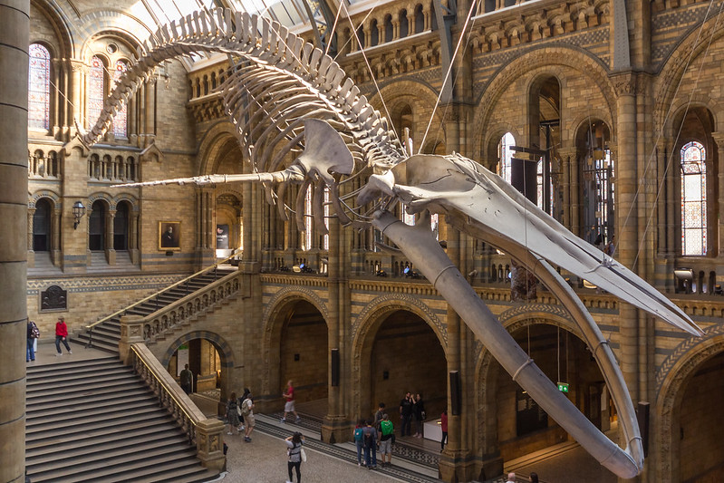 The Natural History Museum in London