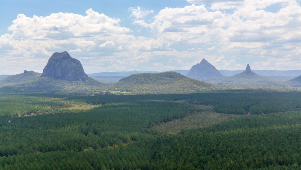 The View From Wild Horse Mountain Lookout