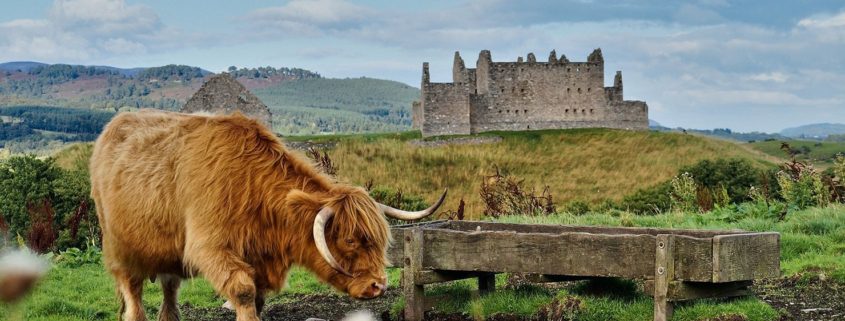 Information for backpacking in Scotland. Whether you need information about Scotland entry visa, backpacker jobs in Scotland, hostels, or things to do, it's all here.