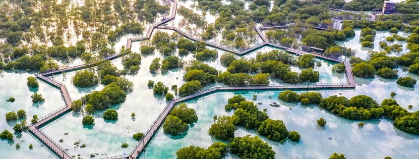 al Jubail Mangrove from above