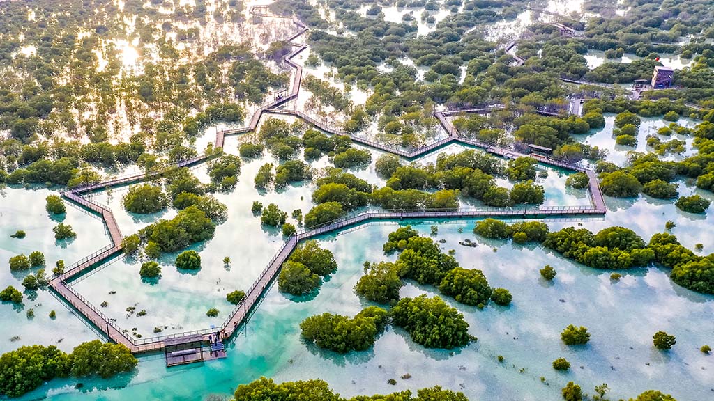 al Jubail Mangrove from above