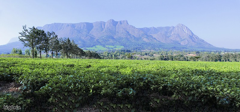 Mulanje Mountain, Malawi