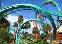 Busch Gardens Tampa Bay