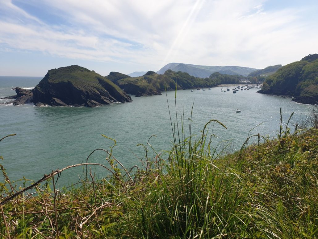 Near Ilfracombe along the Devon Coast to Coast Trail