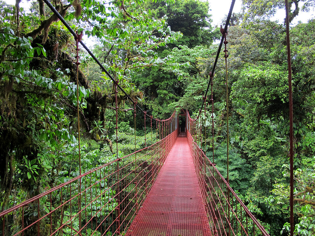 Sky Bridge in Monteverde