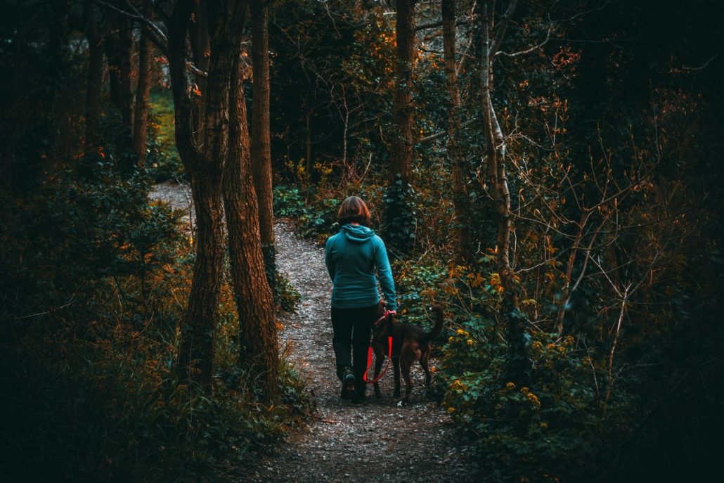 Hiking is a great way to immerse yourself in nature