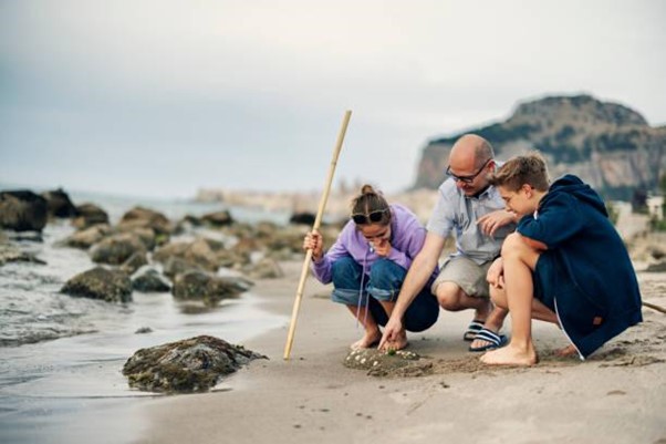 Exploring the seaside