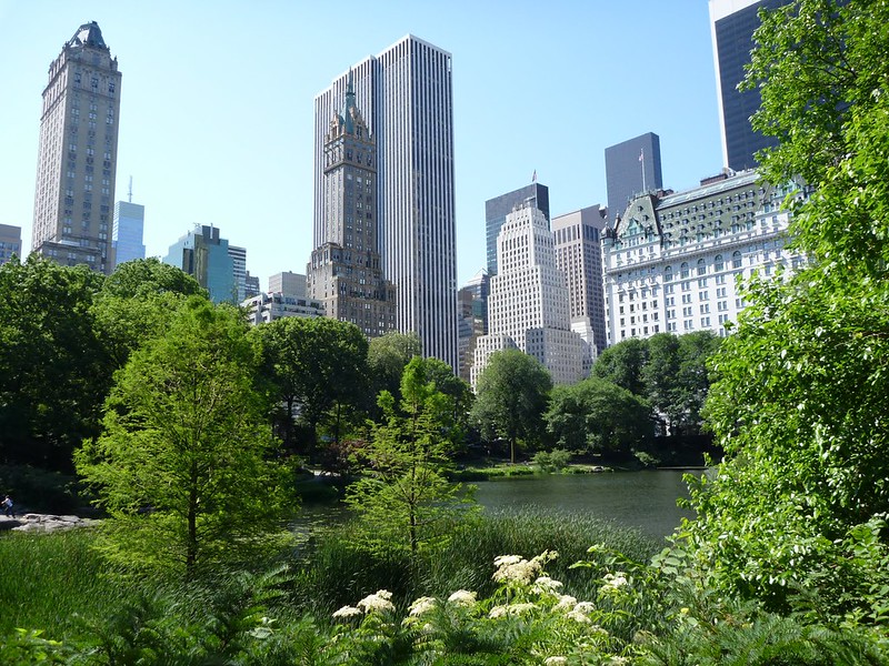 Hanging out in Central Park