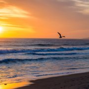 Things to do in Malibu on a budget