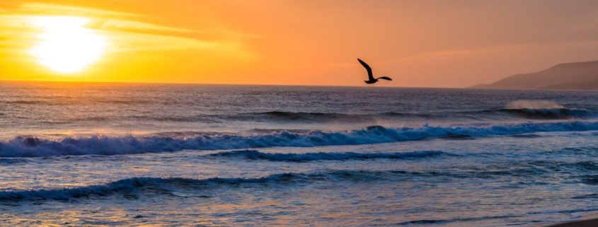 Things to do in Malibu on a budget