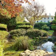 Explore Liverpool Like a Local: Unique Attractions and Hidden Charms in a Day