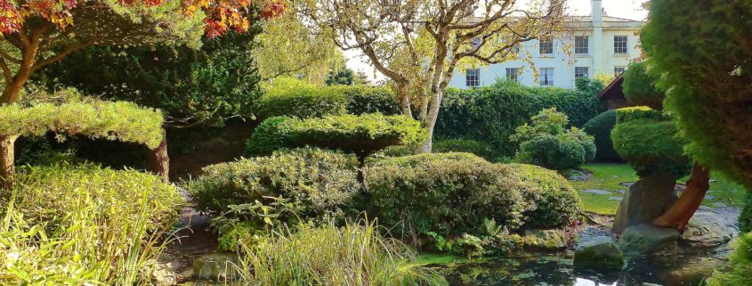 Explore Liverpool Like a Local: Unique Attractions and Hidden Charms in a Day